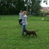 obeissance 2014-08-02